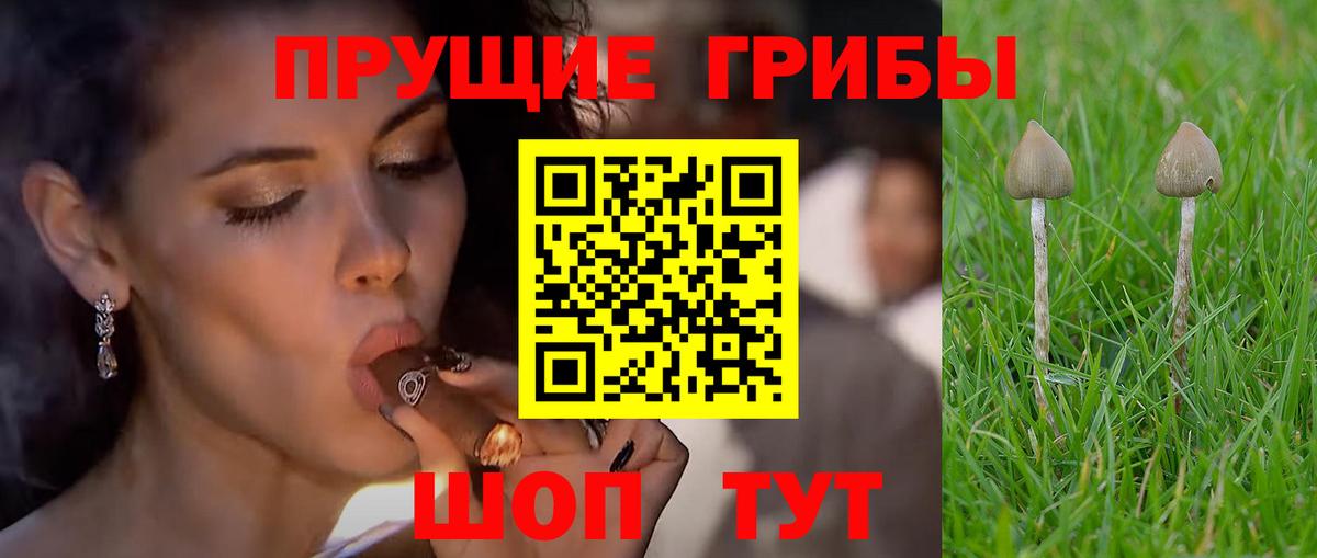 Псилоцибиновые грибы мухоморы  наркотики  Туймазы  Вход с VPN  Галлюциногенные грибы мухоморы 